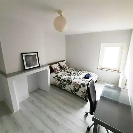 Duplex A Deux Pas De La Place Stanislas *